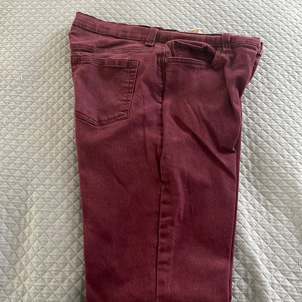 Gloria Vanderbilt Size 10 Jeans. Gently worn Straight Leg Jeans